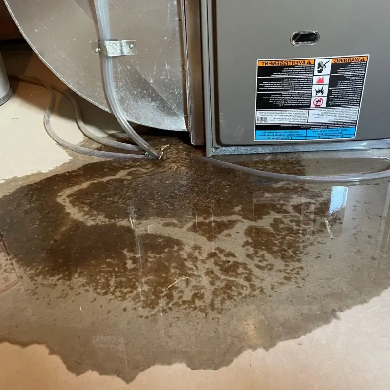 Pipe Burst and Leak Restoration in Wilson, NY