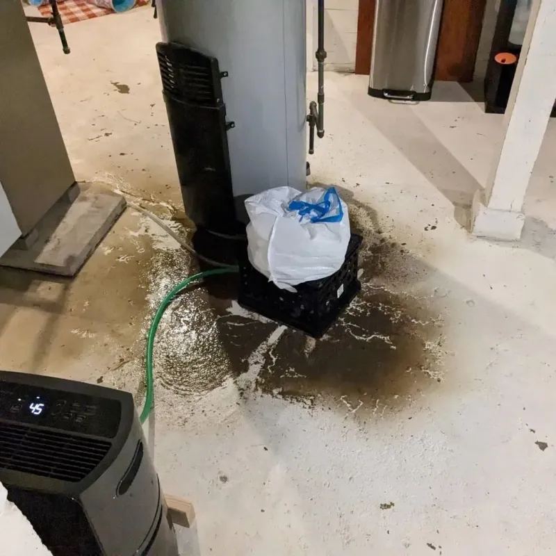 Sewage Backup Cleanup Service in Wilson, NY